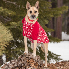 Blueberry Pet ajuste de espalda de 20 pulgadas para perros grandes.