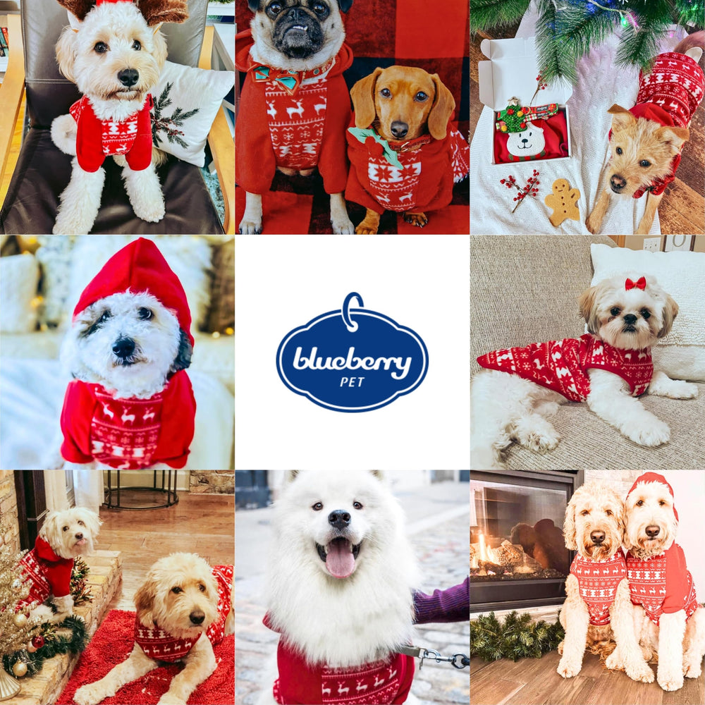 Blueberry Pet modelo con diseños navideños para perros grandes.