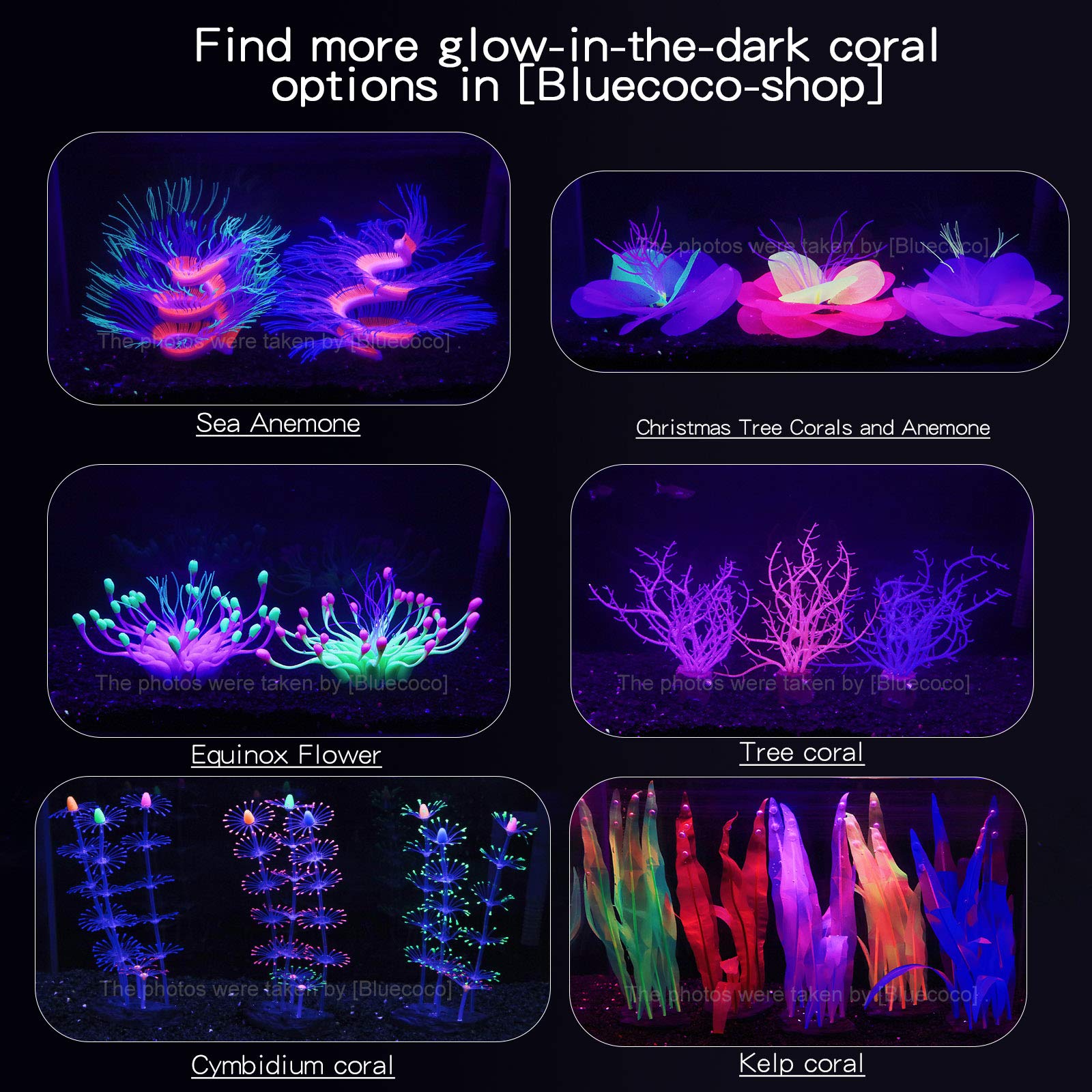 Bluecoco decoraciones no tóxicas para acuario que añaden color y dinamismo.