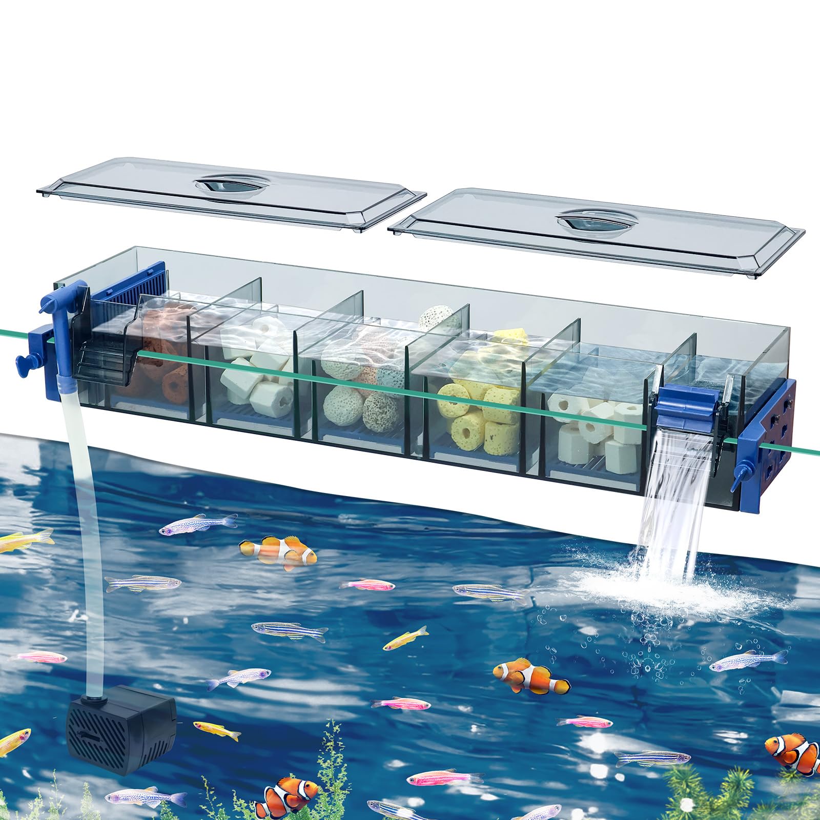 Bluecoco filtración multicapa: agua clara para acuarios.