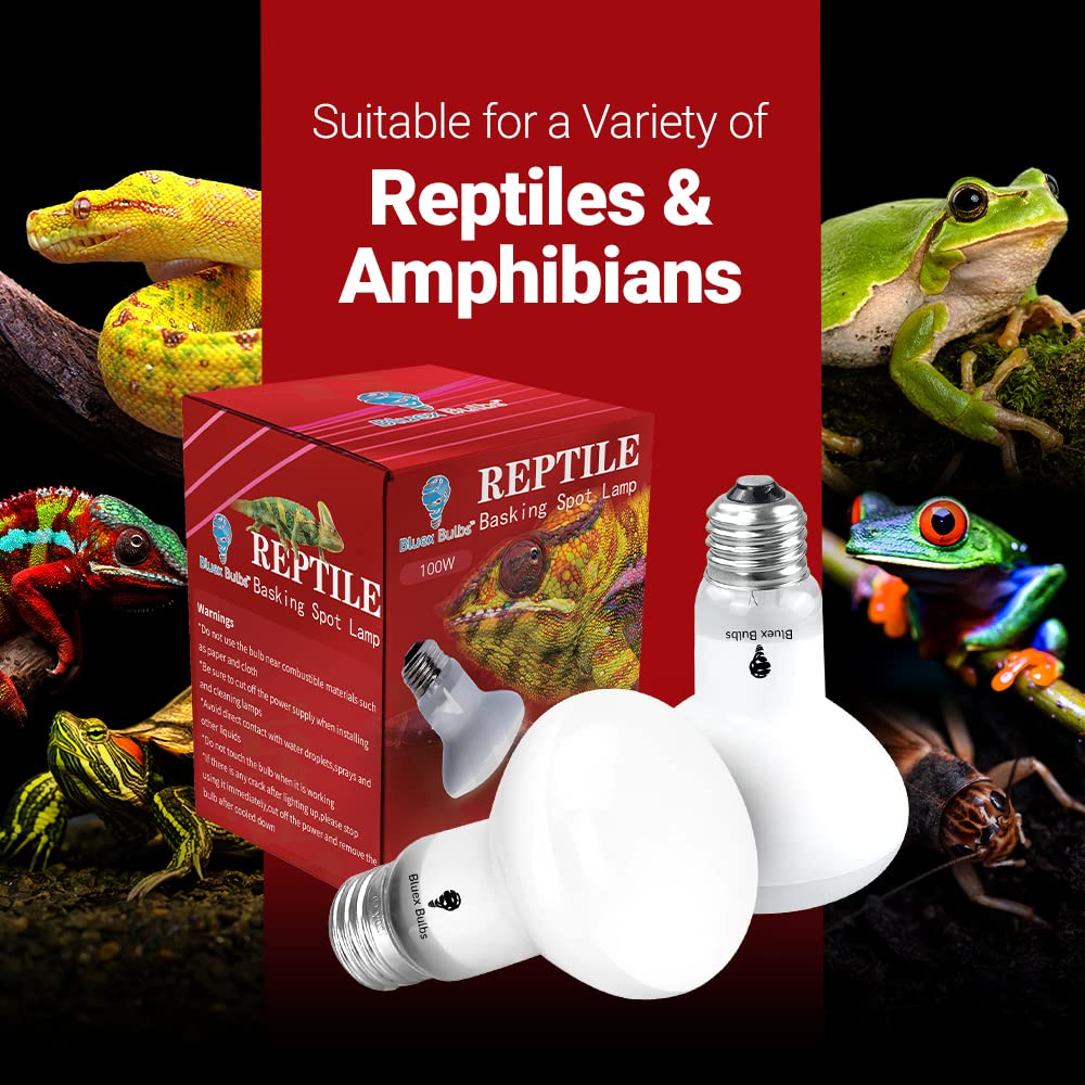 Reptiles variados pueden beneficiarse de un entorno cálido y claro.
