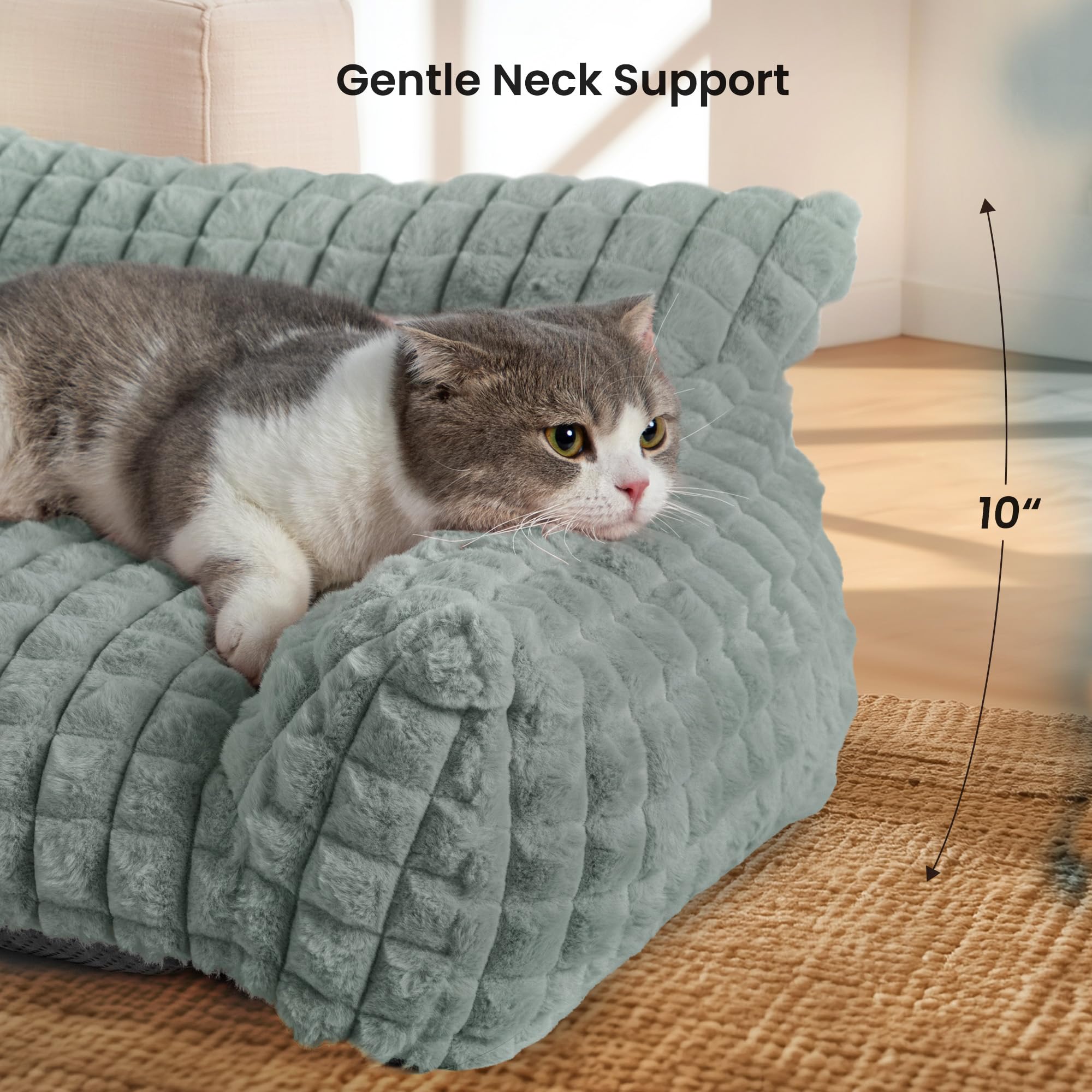 Blunique cama para perros con amplio espacio para dormir y estirarse.