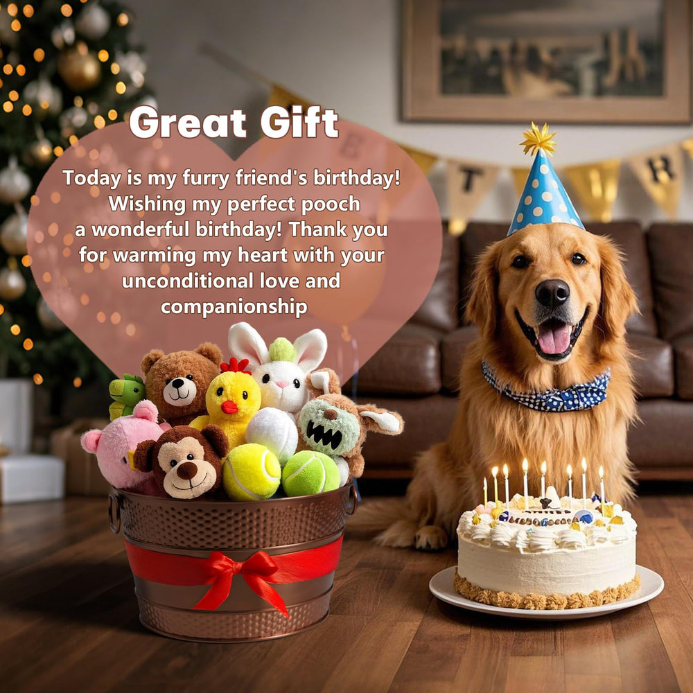 BluPup usos-multiuso-cesto-perro, almacenamiento versátil para casa