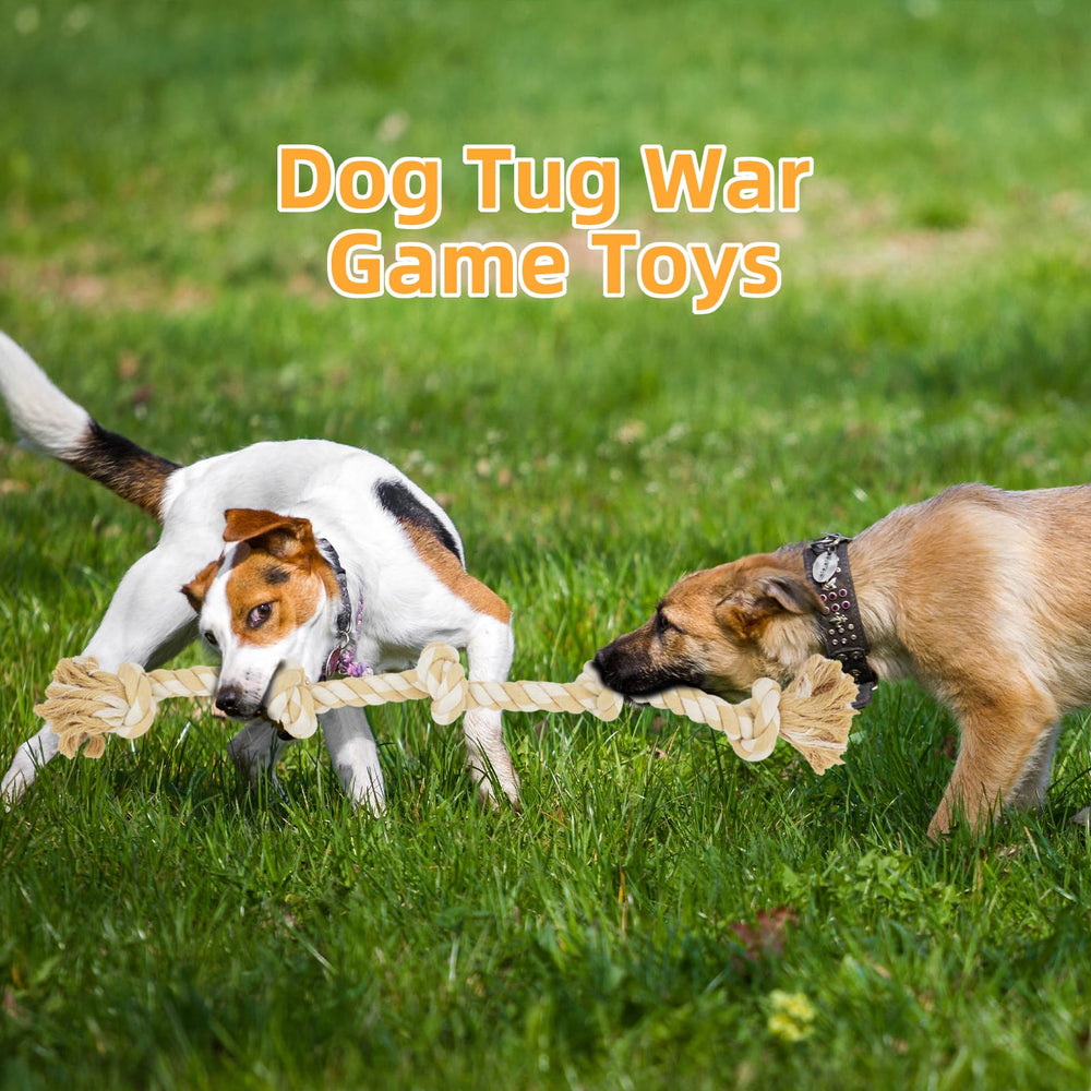 Bmag juego de entrenamiento y tira y afloja para perros activos.
