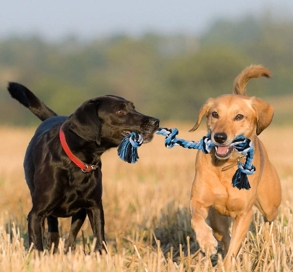 Bmag juego tug de perros, mejora agarre durante el juego de tirar