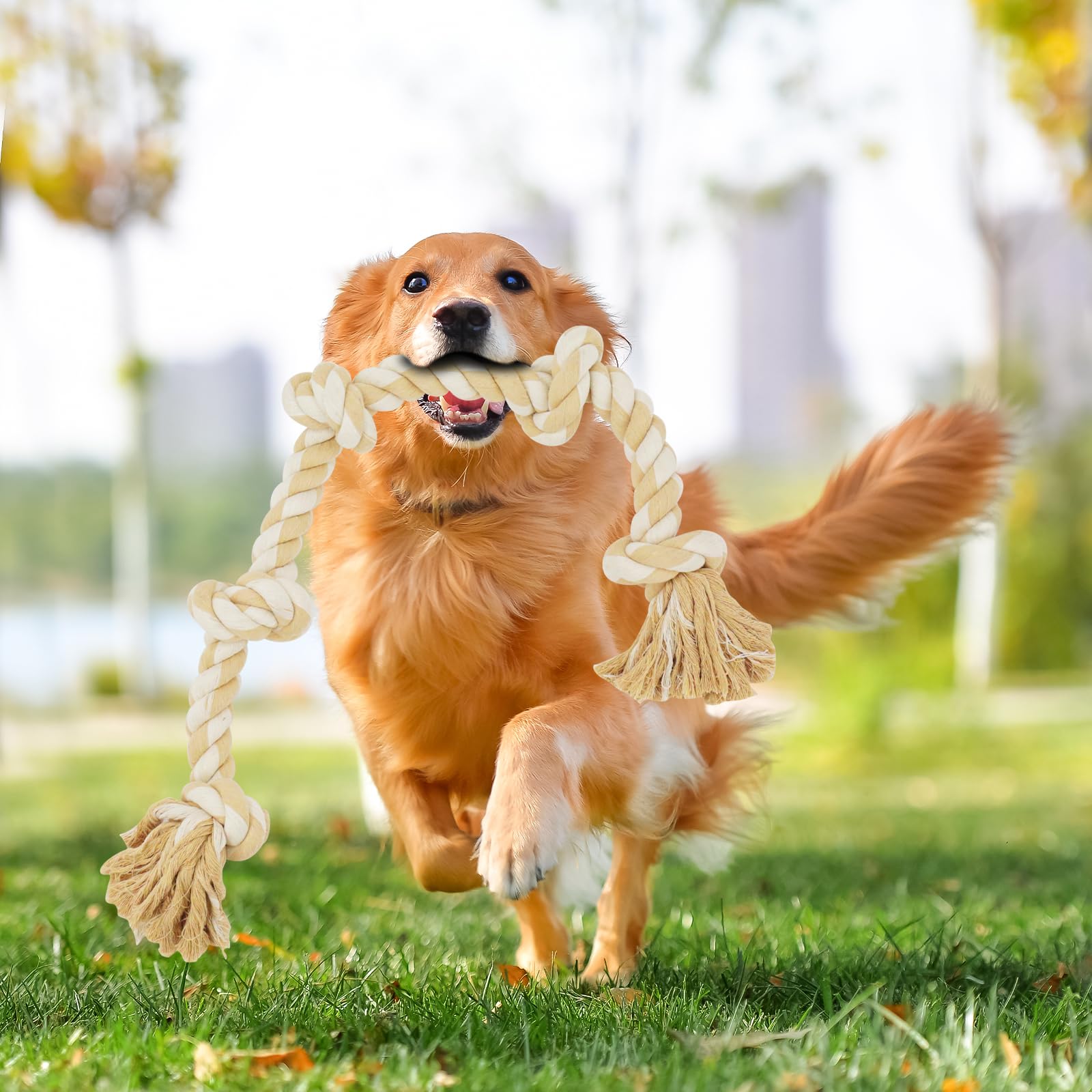 Bmag juguete interactivo diario para perros activos y curiosos.
