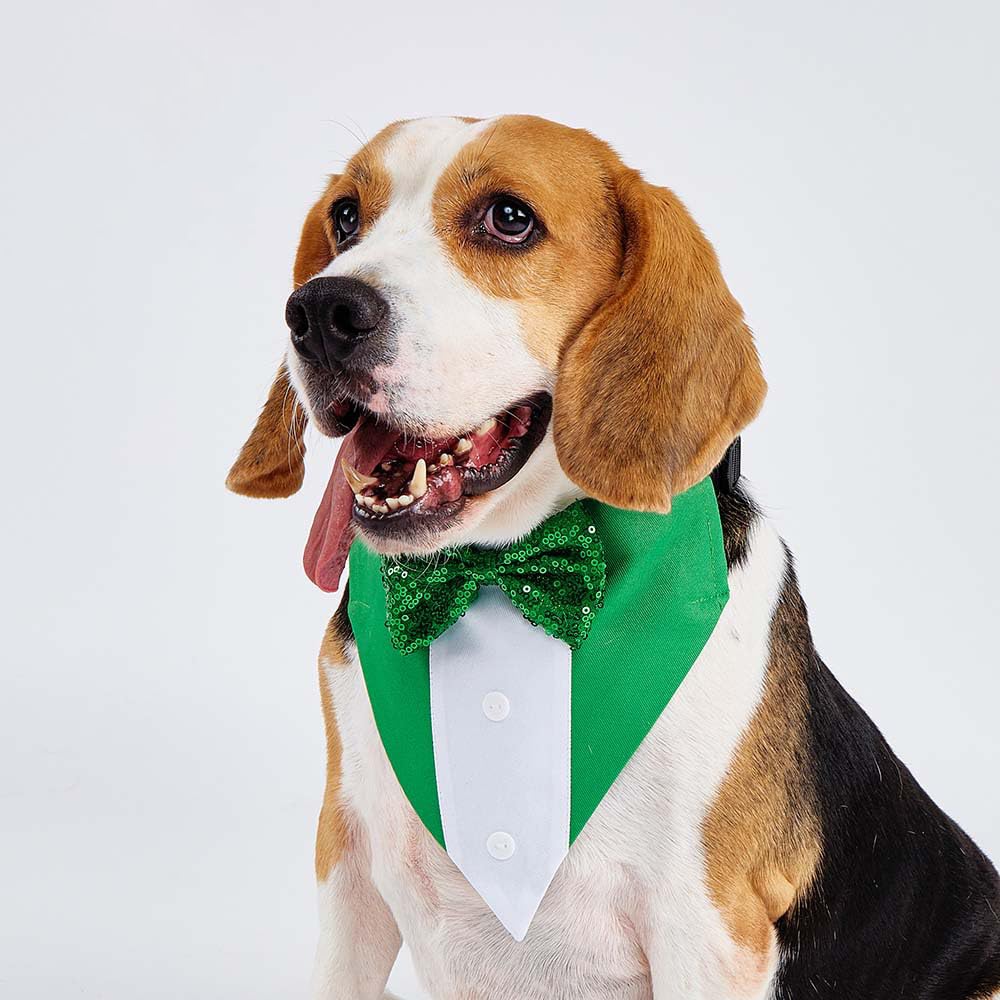 Bnibol collar tuxedo verde, cómodo para uso diario.