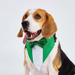 Bnibol collar tuxedo verde, cómodo para uso diario.
