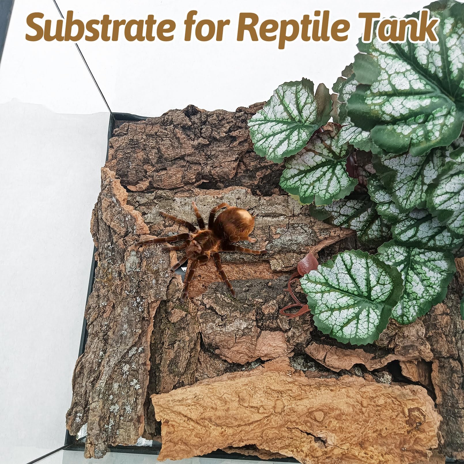 BNOSDM corteza de corcho natural para terrario ofrece cobertura y escondite para reptiles.