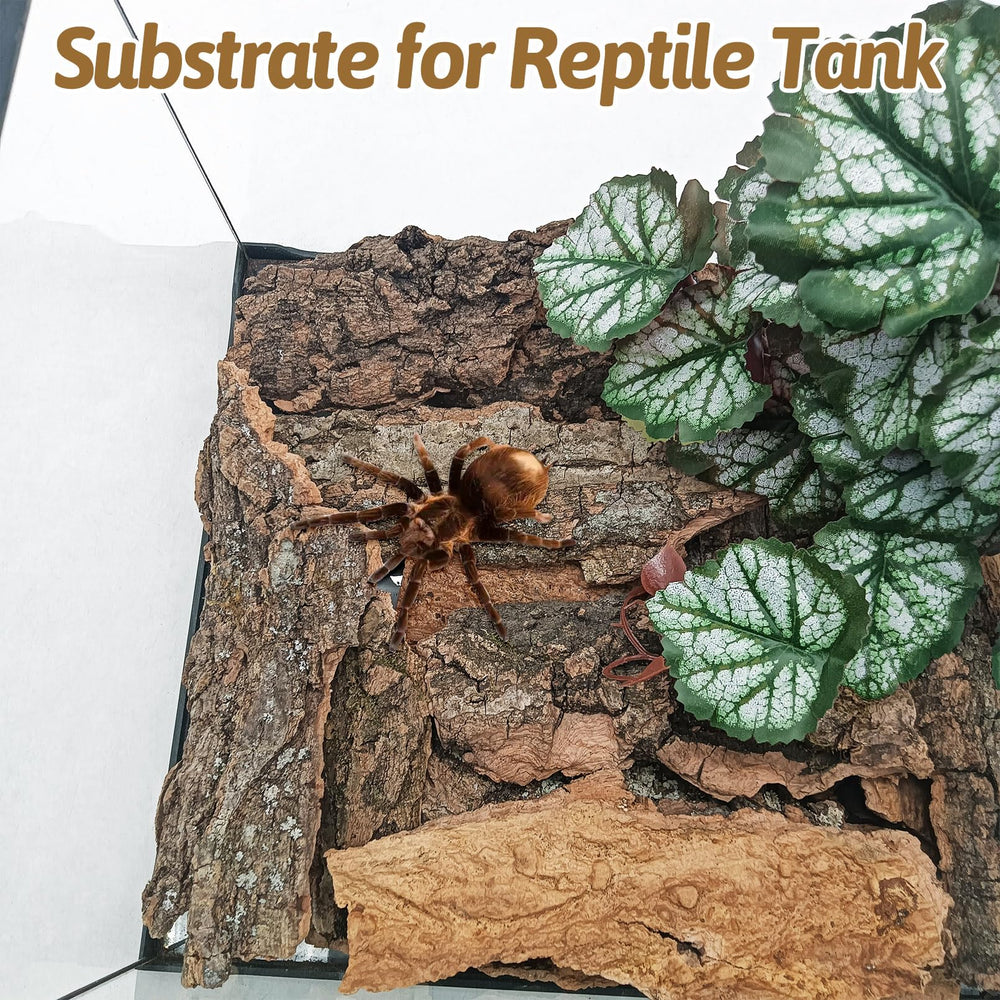 BNOSDM corteza de corcho natural para terrario ofrece cobertura y escondite para reptiles.