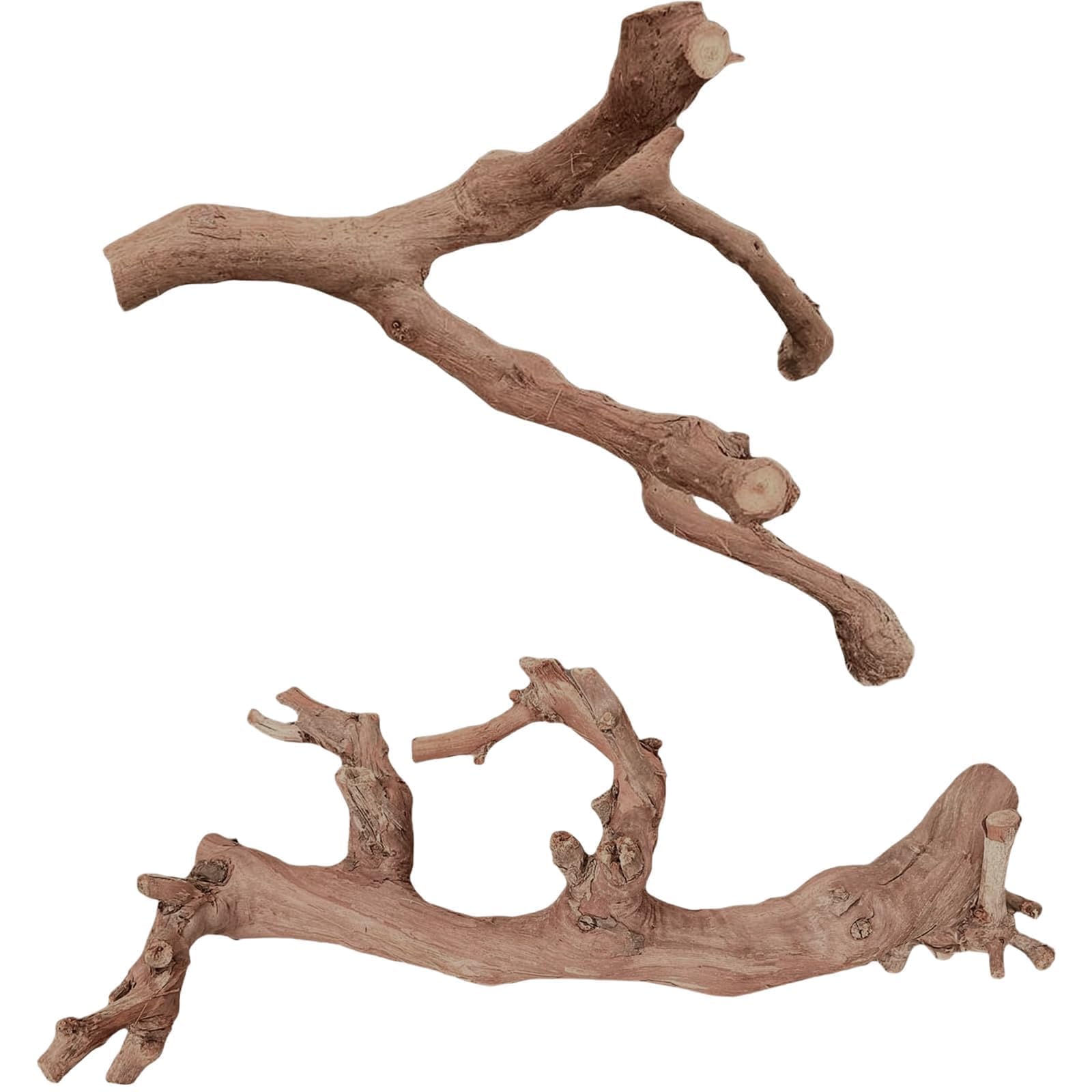 BNOSDM ramas-madera-reptil: dos ramas naturales para trepar seguras y duraderas.
