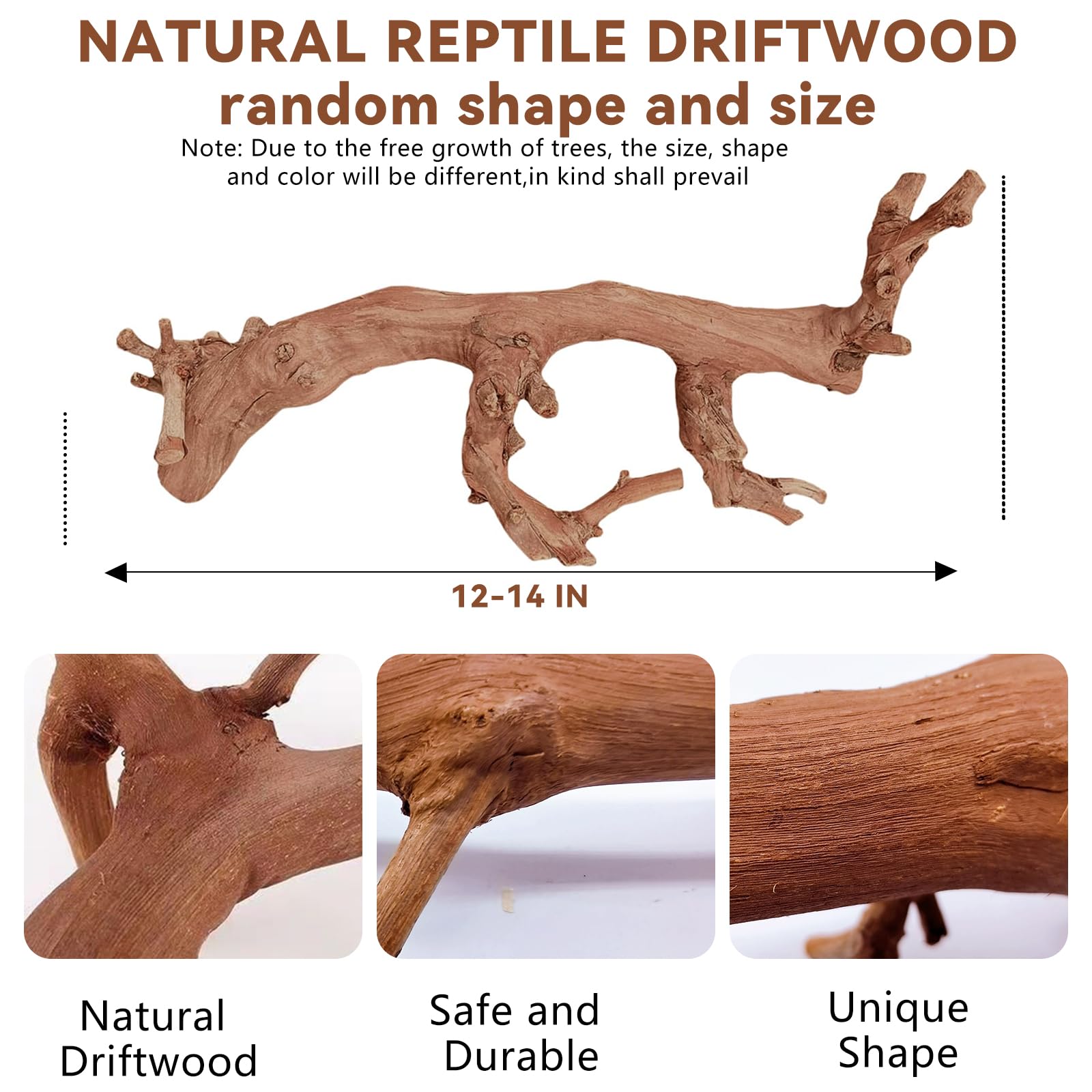 BNOSDM rama reptil trepadora: superficie natural ideal para dragón barbudo.