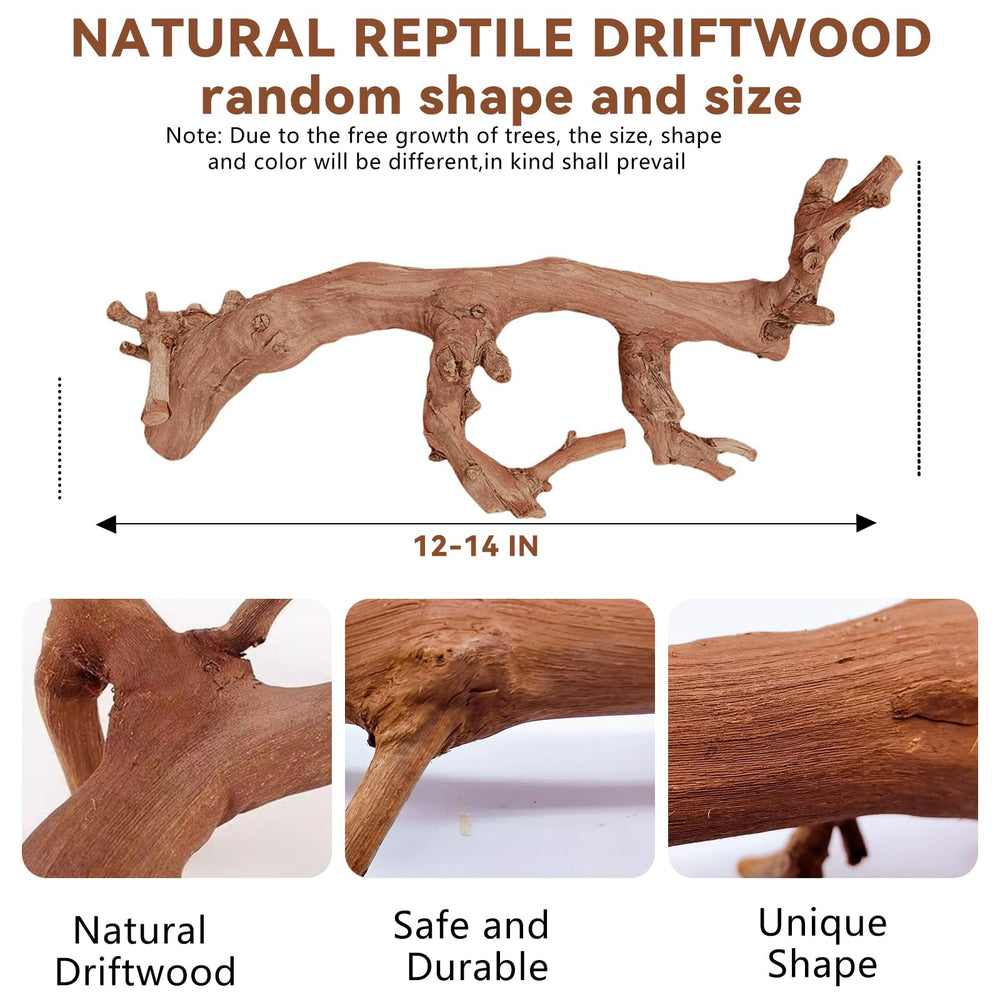 BNOSDM rama reptil trepadora: superficie natural ideal para dragón barbudo.
