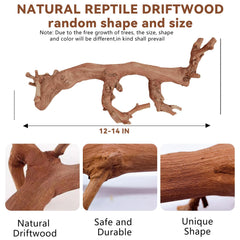 BNOSDM rama reptil trepadora: superficie natural ideal para dragón barbudo.