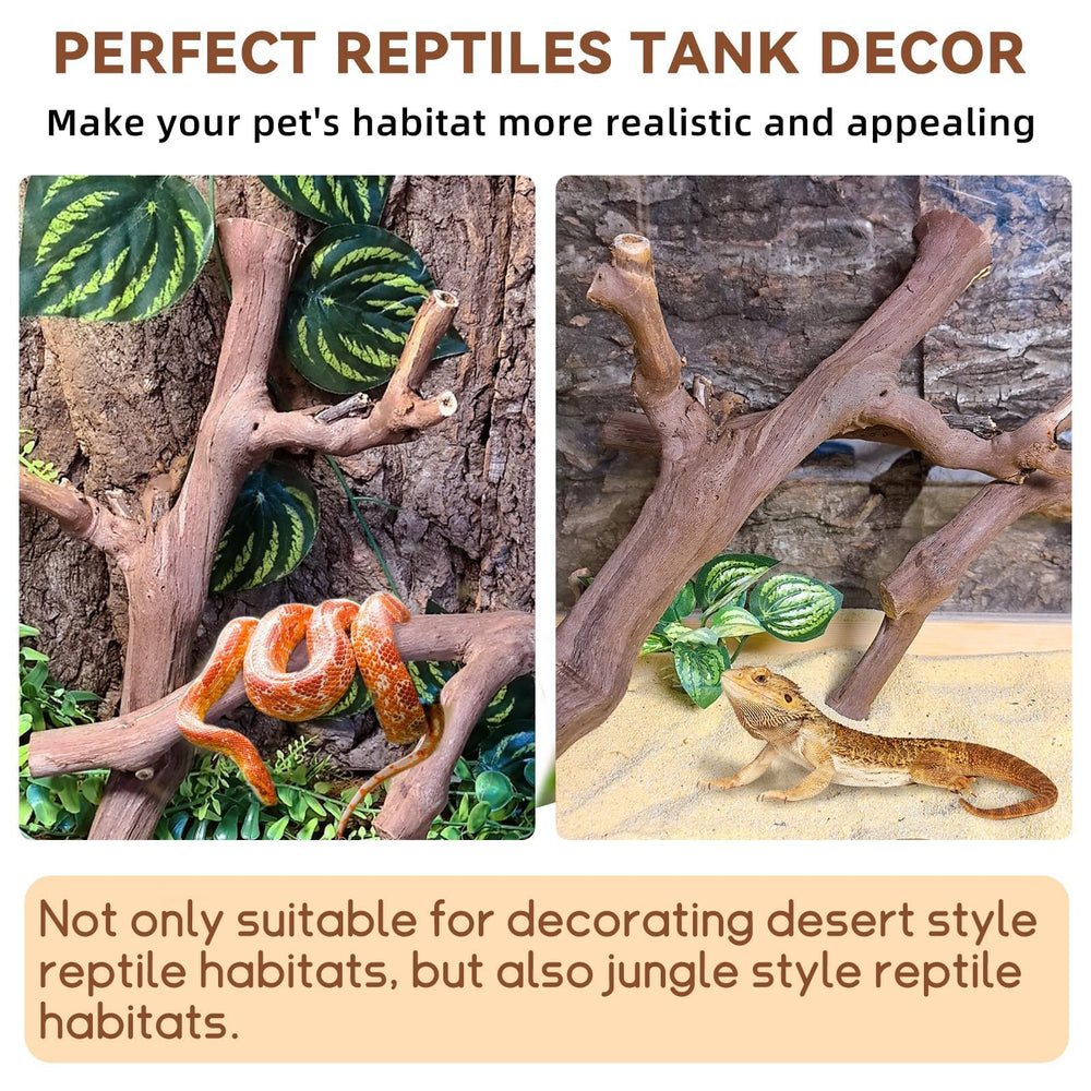 BNOSDM rama para trepar reptil: superficie natural para juego y exploración.