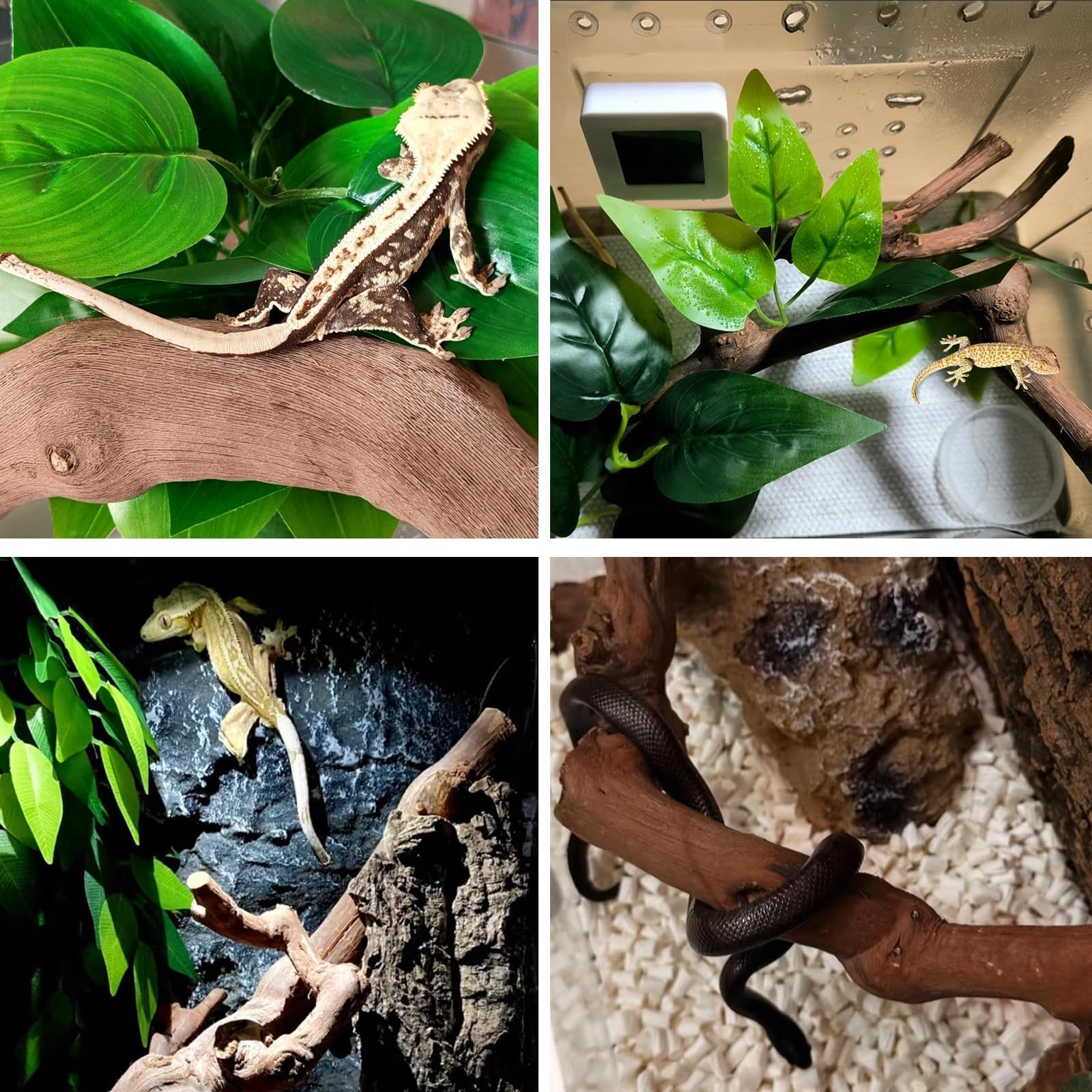 BNOSDM decoración terrario: fácil de colocar y combinar con otros elementos.