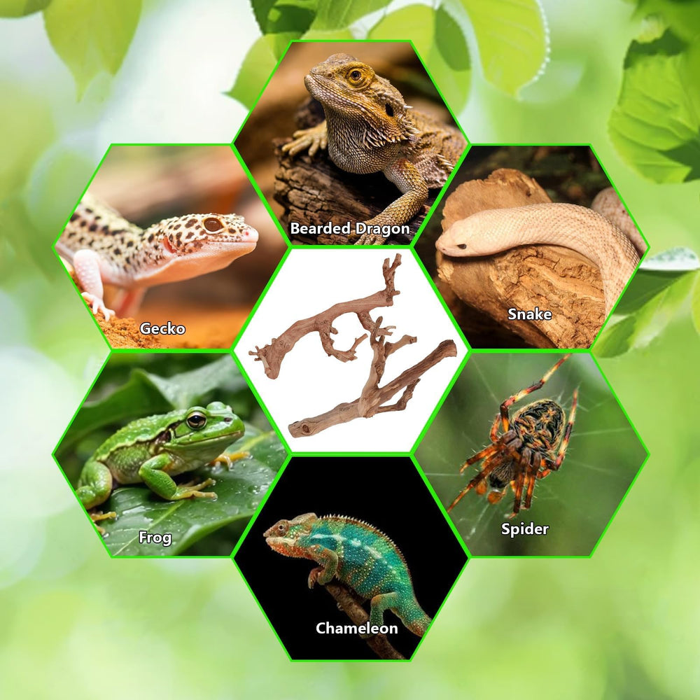 BNOSDM ramas naturales: tamaño variado añade realismo al hábitat.