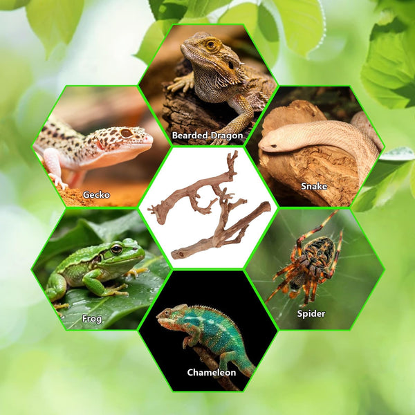 BNOSDM ramas naturales: tamaño variado añade realismo al hábitat.