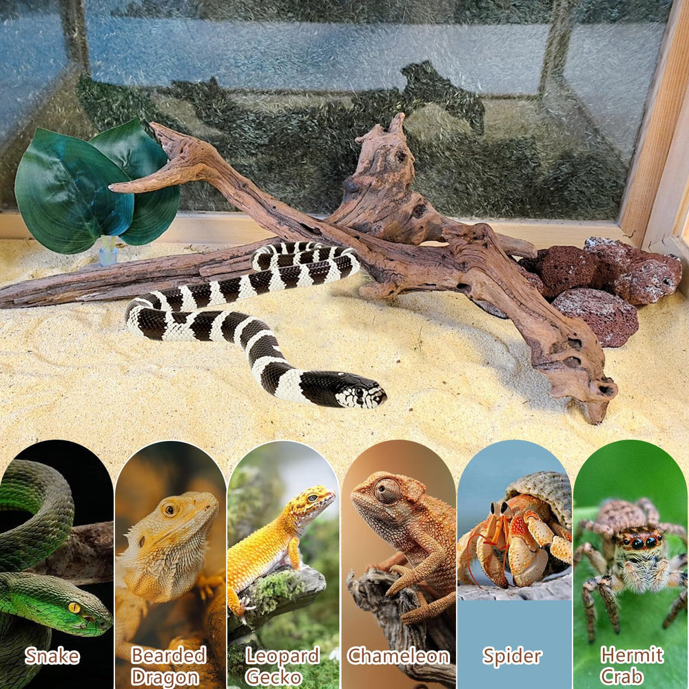 BNOSDM ramas para camaleones y geckos, decoración funcional.
