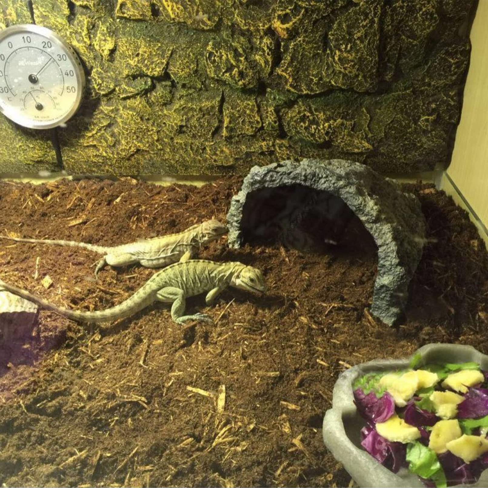 BNOSDM sustrato para incubación: ambiente estable para huevos de tortuga.