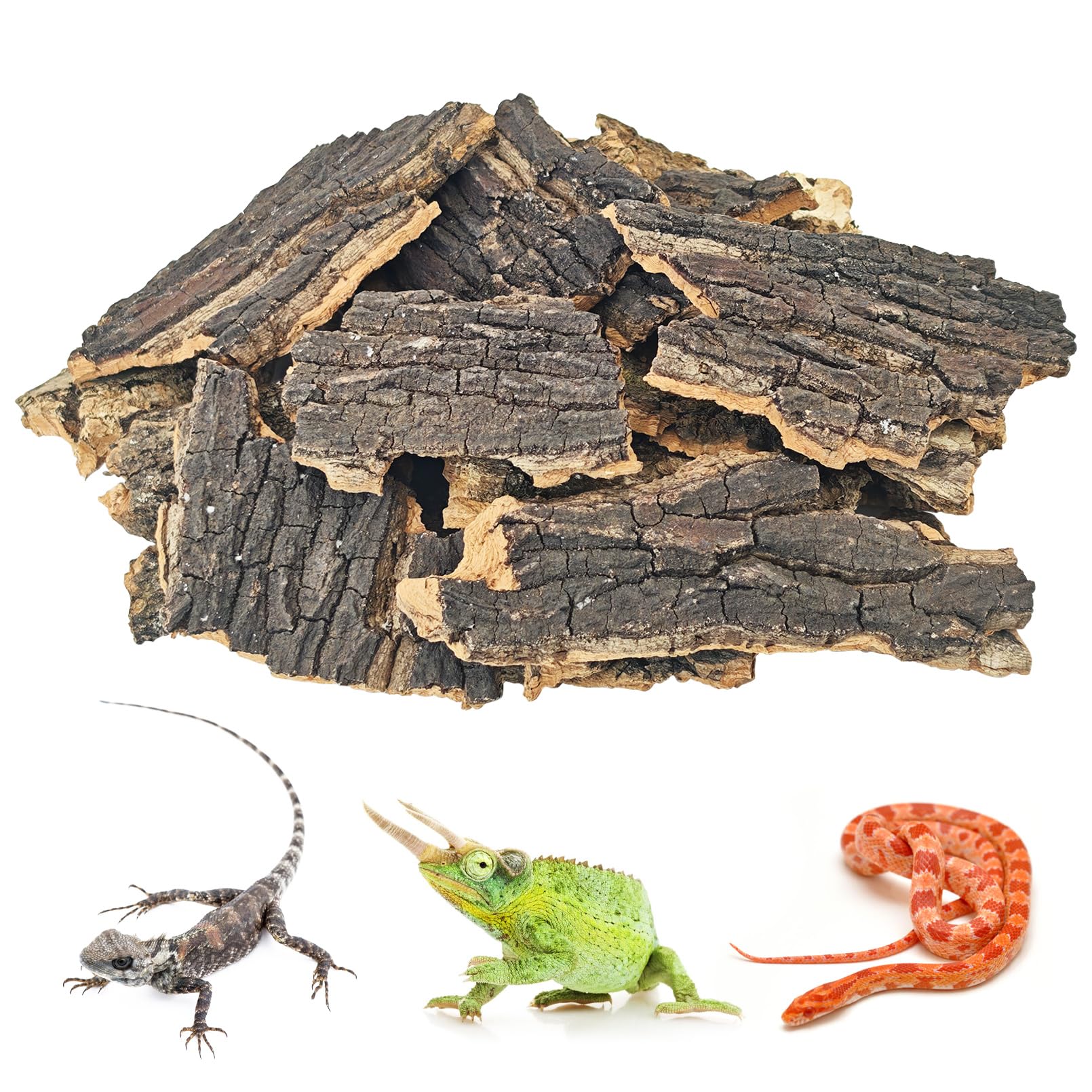 BNOSDM trozos de corcho natural para terrario brindan refugio seguro para reptiles.