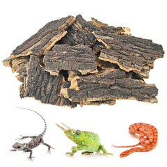 BNOSDM trozos de corcho natural para terrario brindan refugio seguro para reptiles.