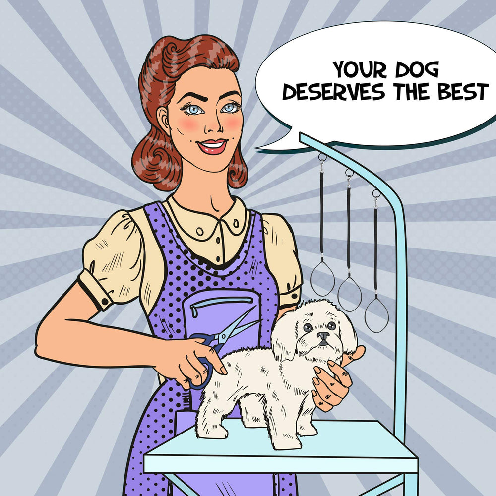Boao juego versátil para grooming y baño en casa.