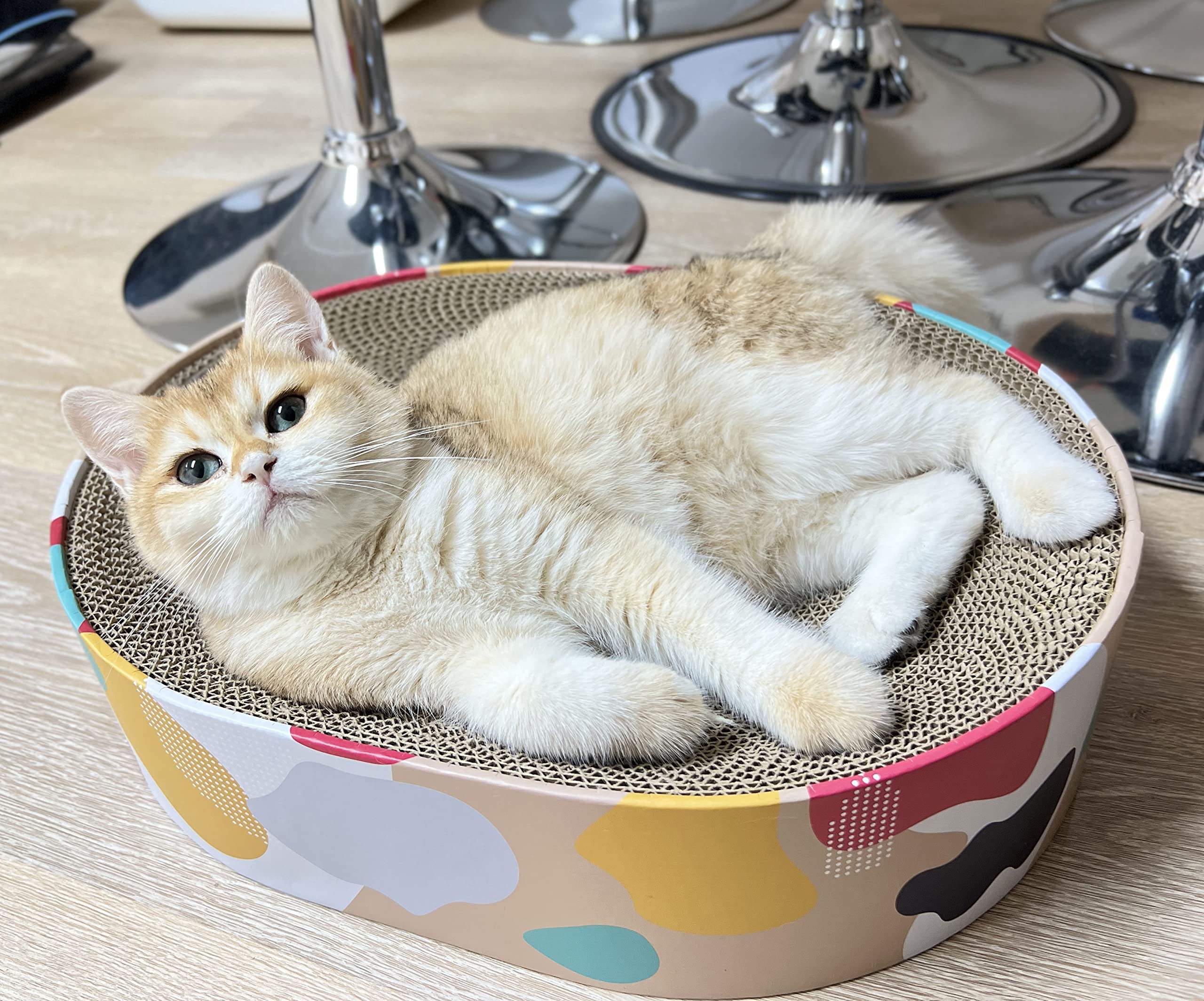 Superficie curva de BobbyPet para apoyar el cuerpo del gato con confort.