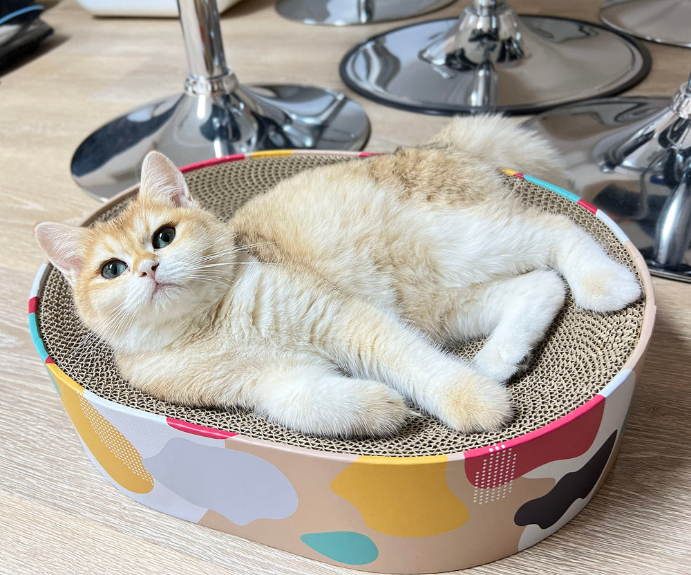 Superficie curva de BobbyPet para apoyar el cuerpo del gato con confort.