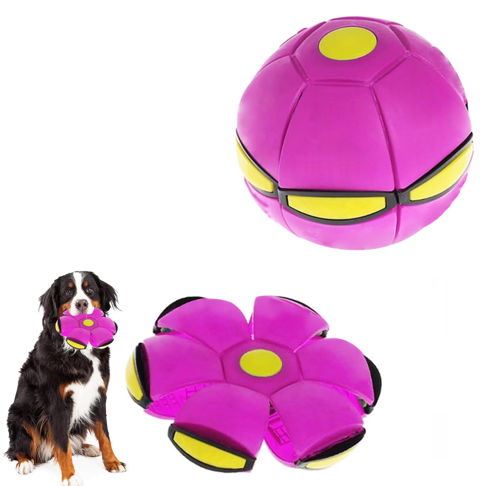 Bobcow UFO Stomp, bola voladora disco para diversión exterior con niños.