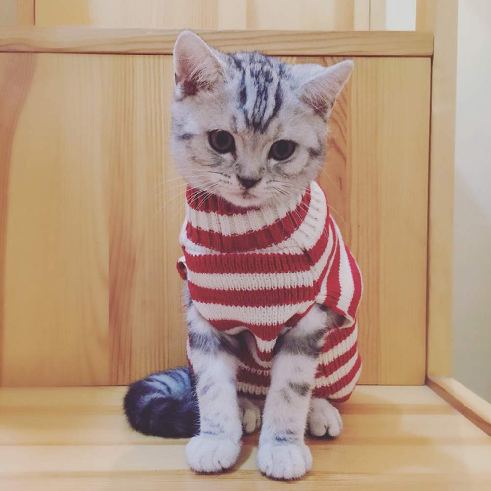 BOBIBI suéter navideño para gato, diseño Papa Noel ideal para fotos festivas.