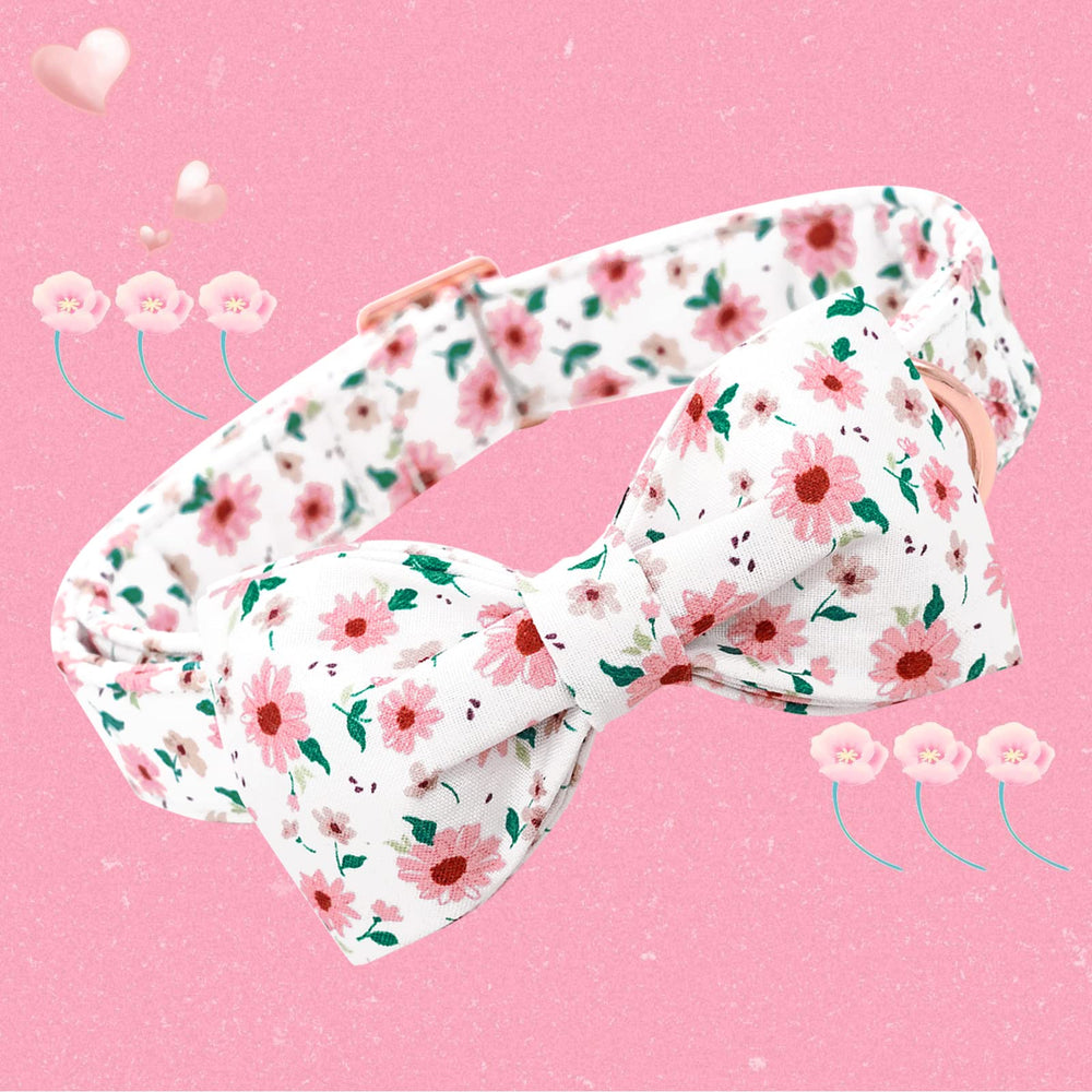 Collar ajustable Bobo Rainbow para talla S con comodidad.