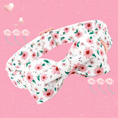 Collar ajustable Bobo Rainbow para talla S con comodidad.
