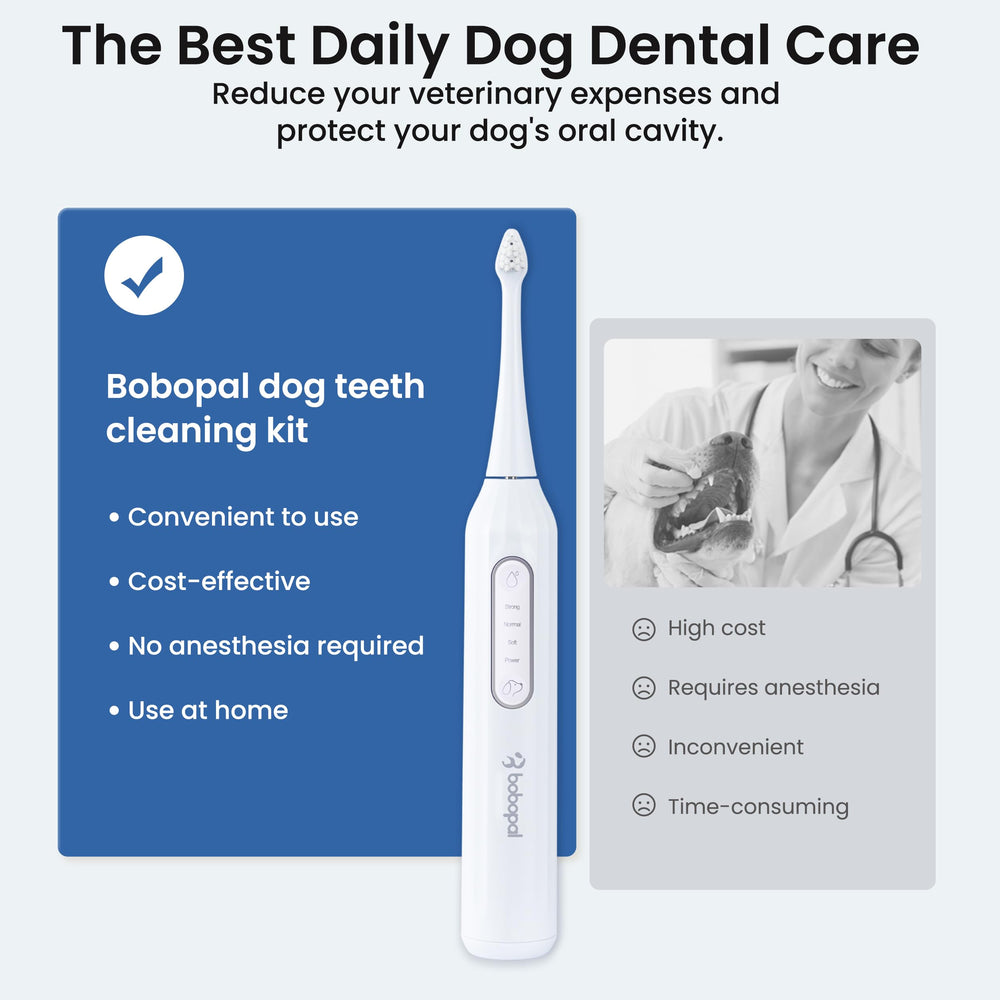 Bobopal accesorios incluidos para un kit dental completo