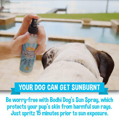 Aplicación sin aerosol de Bodhi Dog para perros y gatos