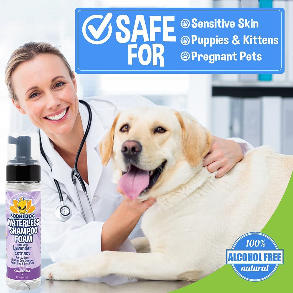 Aroma suave a lavanda deja a tu mascota fresca entre lavados