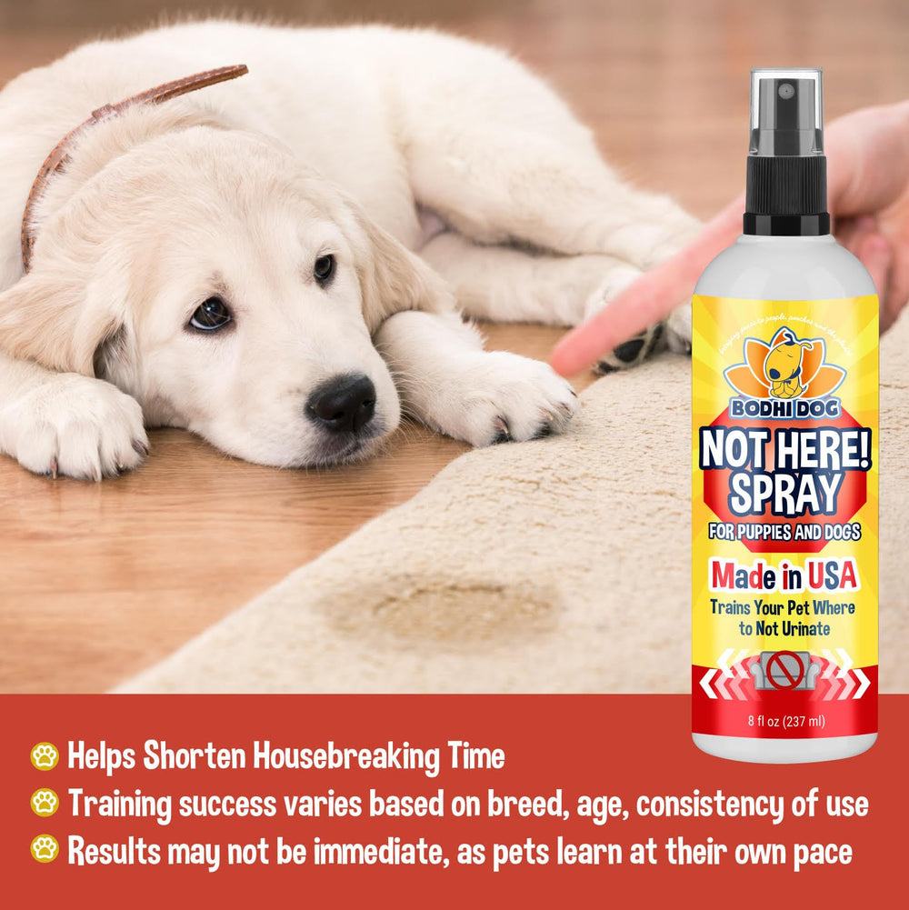 Bodhi Dog entrenamiento: aerosol para hábitos de higiene de perros