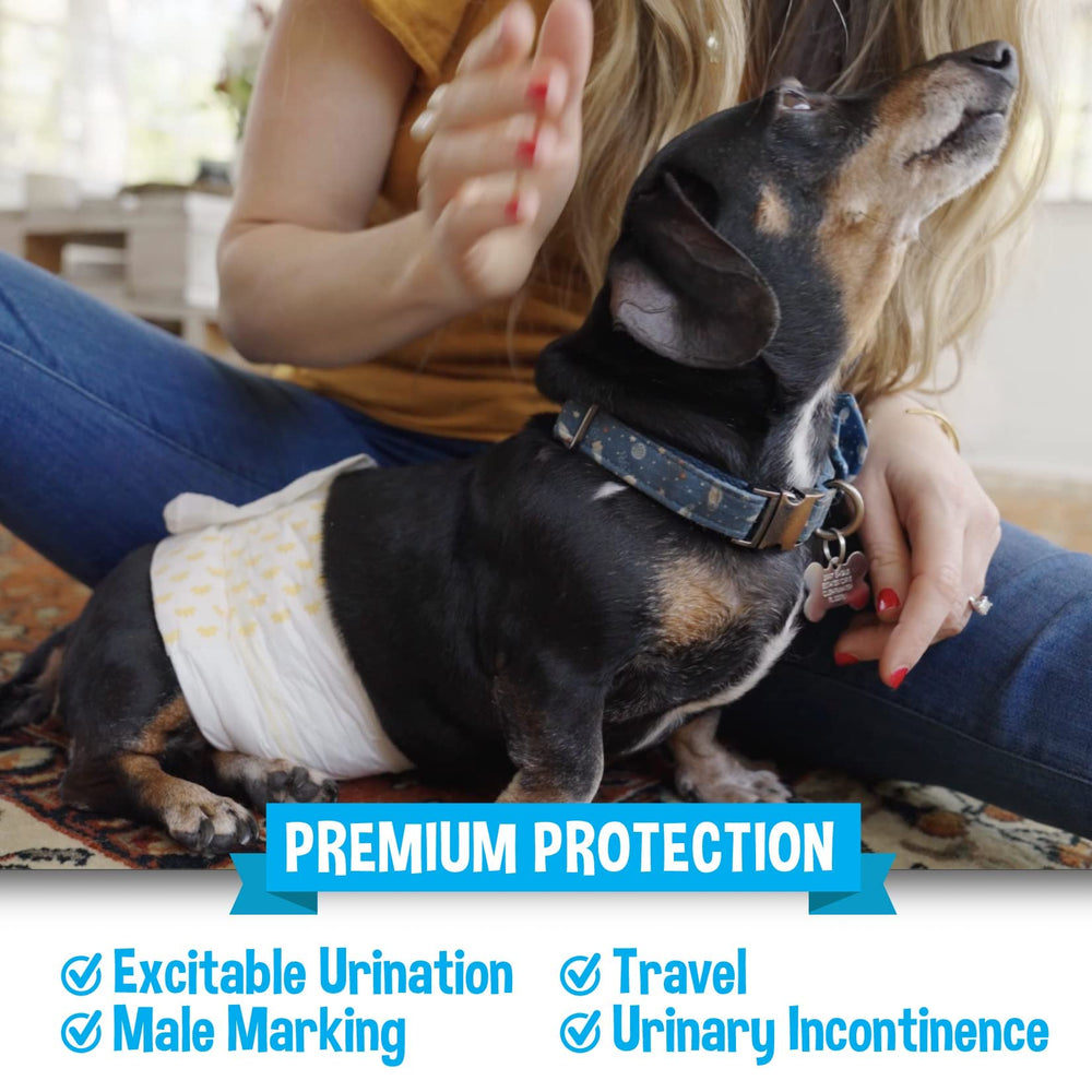 Bordes elásticos Bodhi Dog para libertad de movimiento.