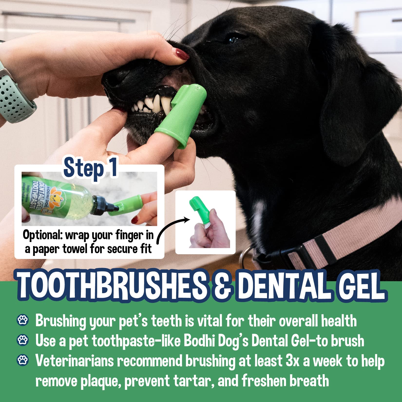 Bodhi Dog paquete de 100 unidades para cuidado bucal