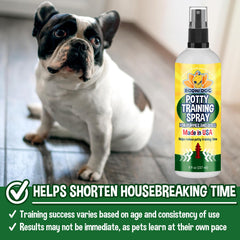 Bodhi Dog Potty Training Spray, aplicación en área para entrenamiento interior.