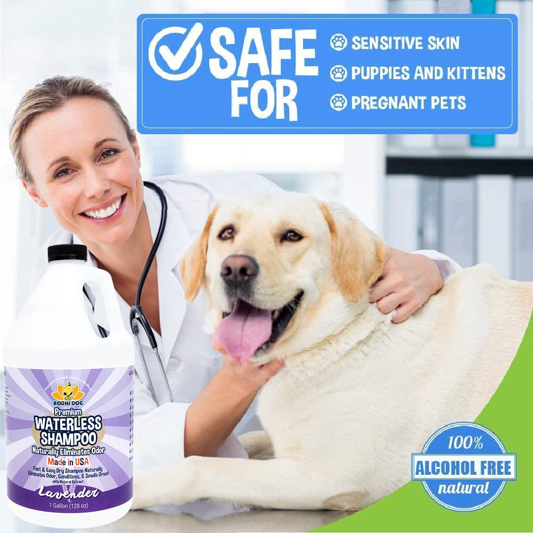 Bodhi Dog Waterless Shampoo lavanda: desenredado y brillo extra para el pelaje.
