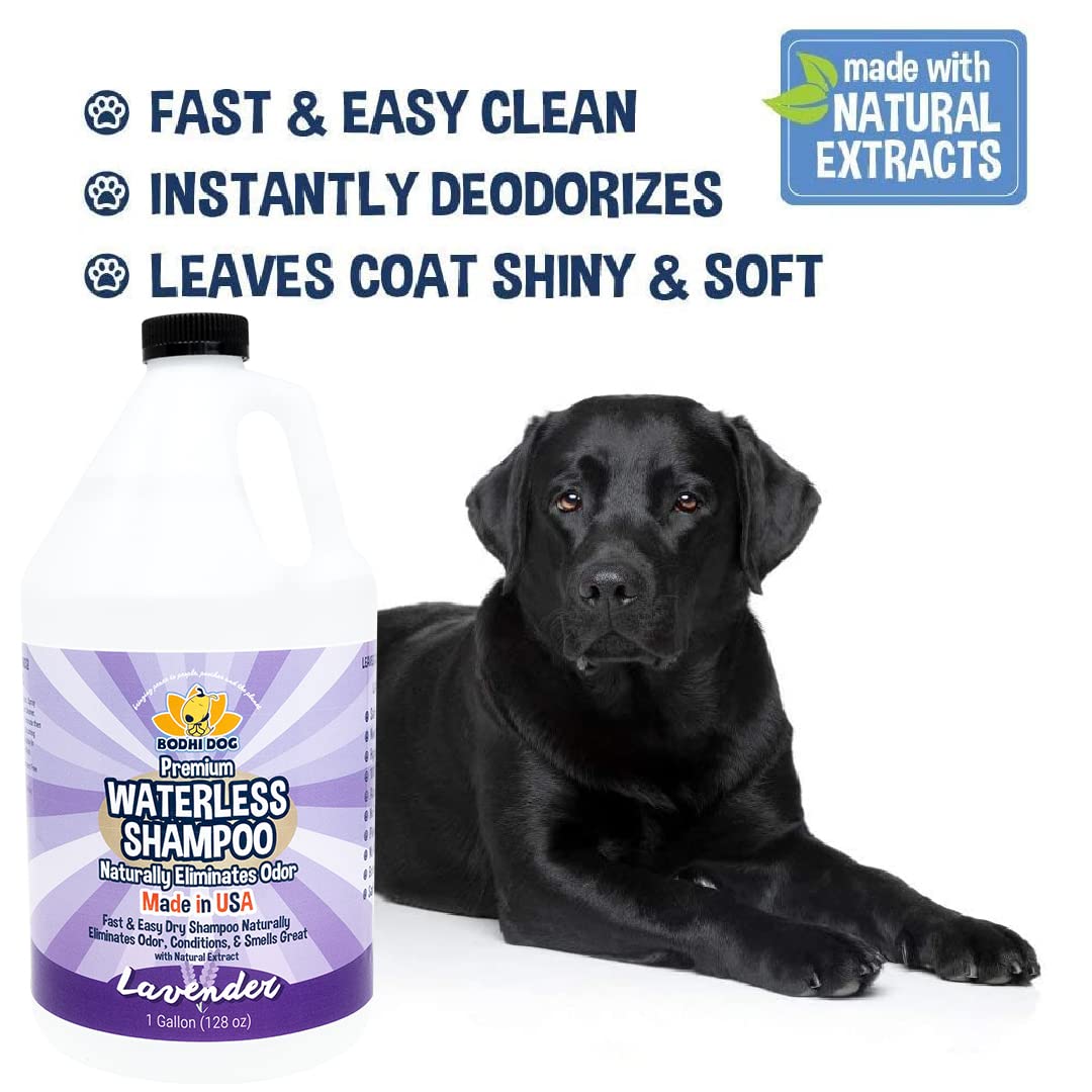 Bodhi Dog Waterless Shampoo para perros y gatos: uso sin enjuague seguro para piel sensible.