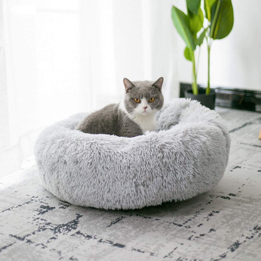 Cama Bodiseint para perro pequeño, soporte mullido para dormir.