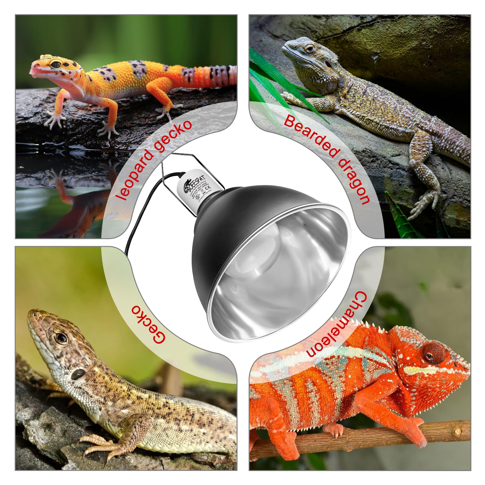 BOEESPAT Cupula lampara reptiles disipacion de calor gracias a orificios.