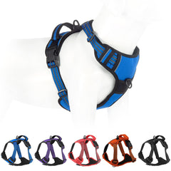 Bokelai arnés No Pull con clip trasero para paseos más controlados.