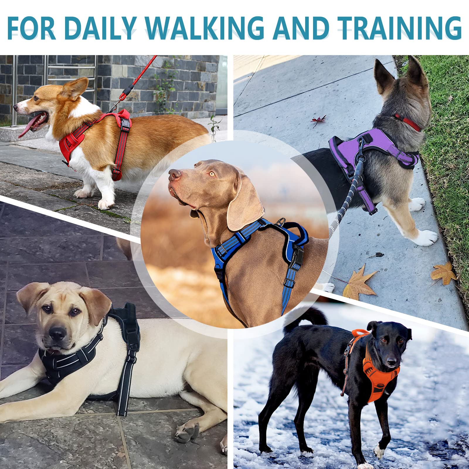 Bokelai arnés para paseos diarios, ideal para perros pequeños y medianos.