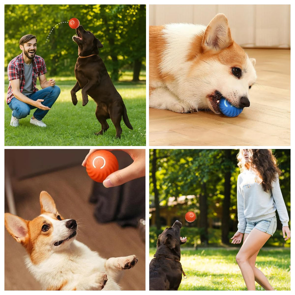 Bola saltarina para perros: modo interactivo que estimula la curiosidad del animal.