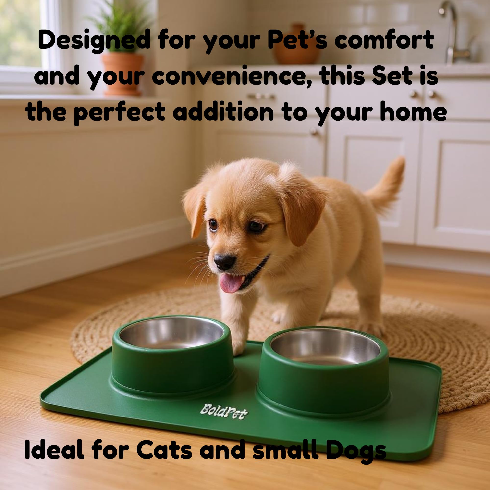 BoldPet conjunto comer y beber para cachorros y mascotas pequeñas.