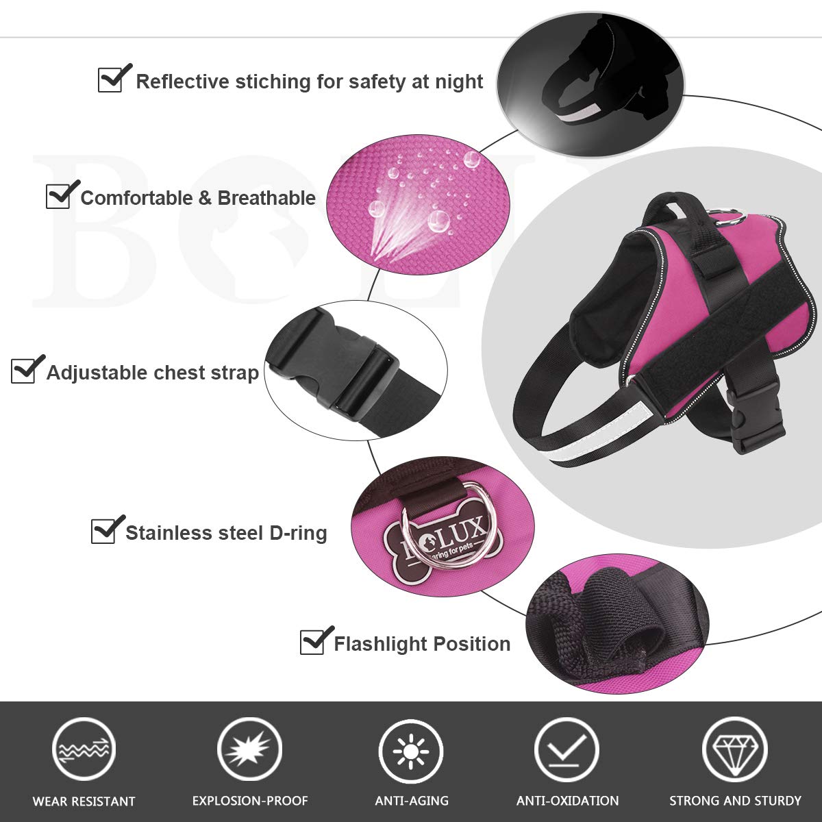 Bolux arnés ajustable con mango, control en cada caminata
