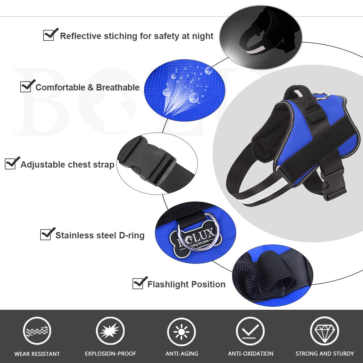 Bolux arnés con asa ajustable para control cercano durante caminatas urbanas.
